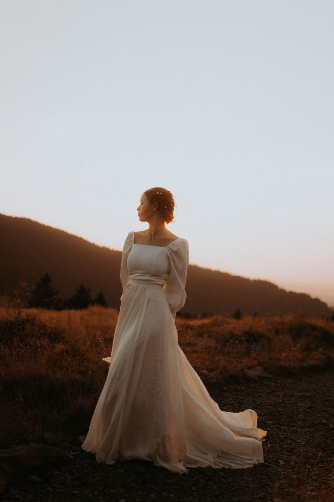 bride portait inspo Roan Mountain elopement on the Blue ridge parkway in Asheville North Carolina